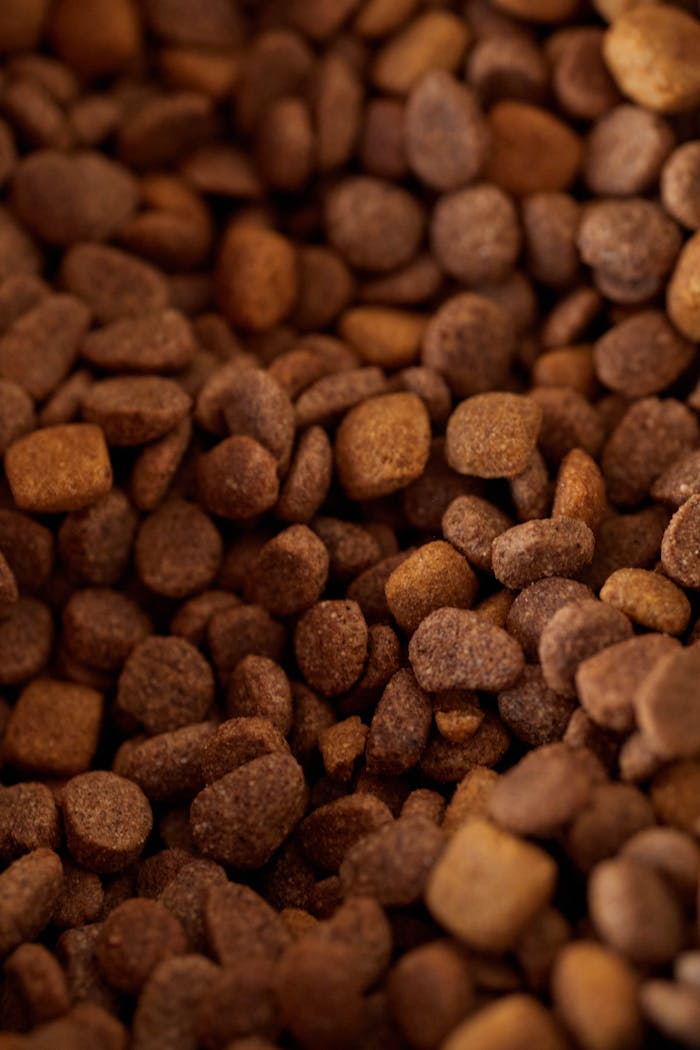 services-02 Detailed close-up of dry dog food kibble in varying shades of brown.